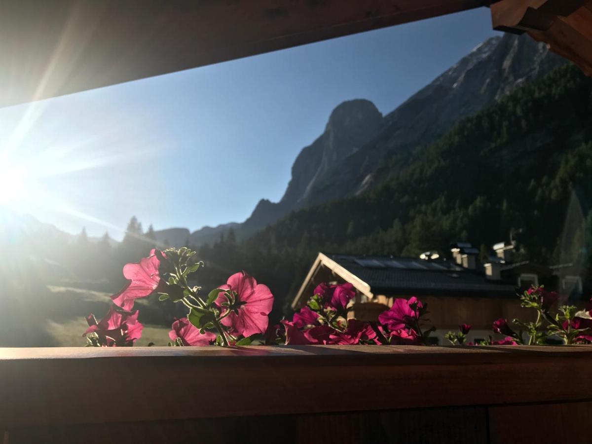 Ferienwohnung Cesa Mandi E Miky Canazei Exterior foto
