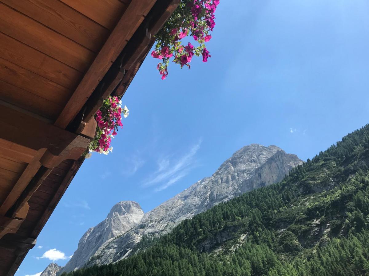 Ferienwohnung Cesa Mandi E Miky Canazei Exterior foto